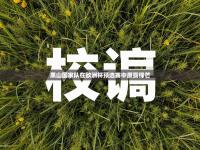 黑山国家队在欧洲杯预选赛中展露锋芒