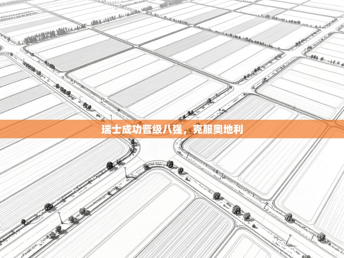 瑞士成功晋级八强，克服奥地利  第2张