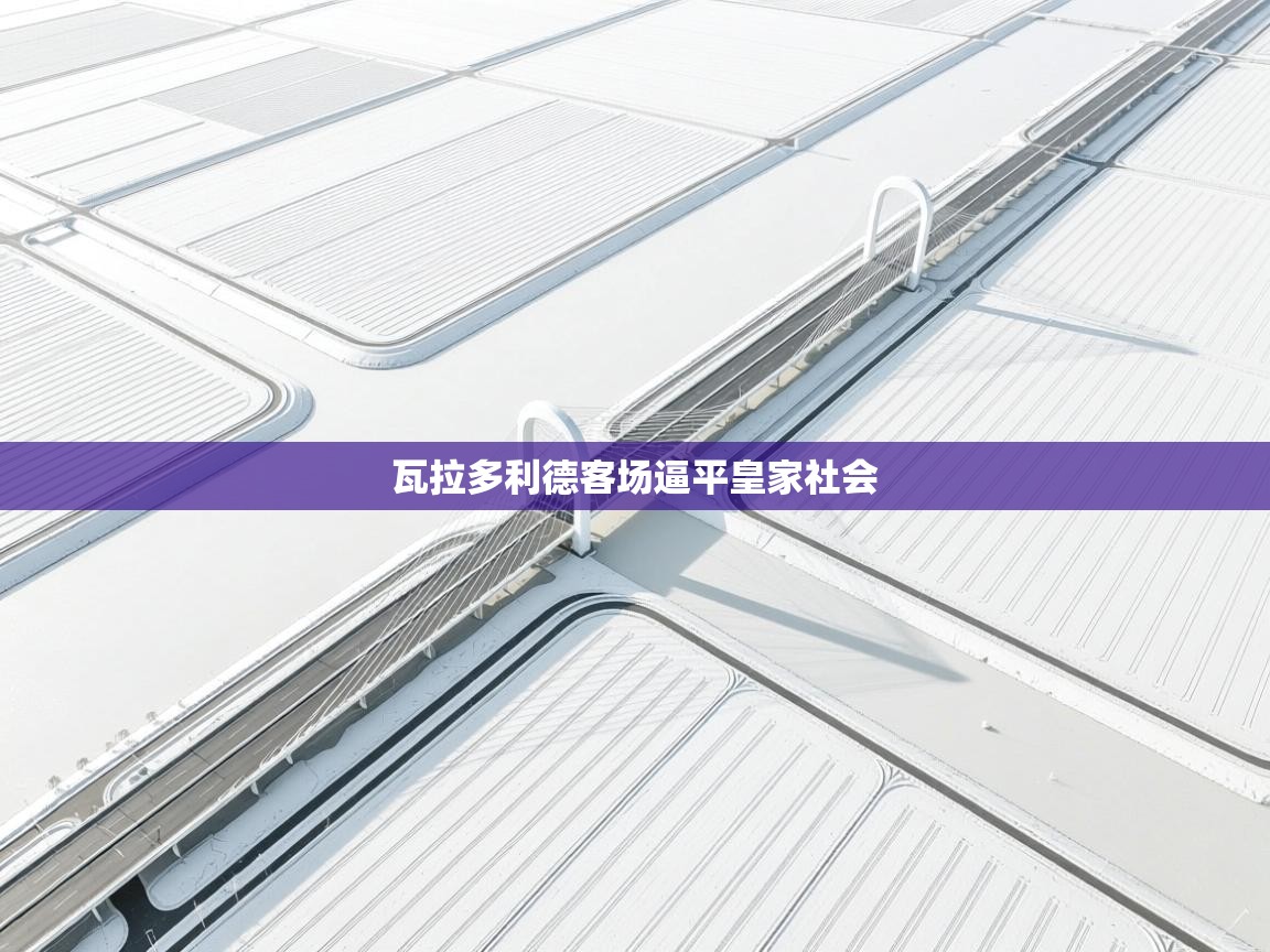 瓦拉多利德客场逼平皇家社会  第2张