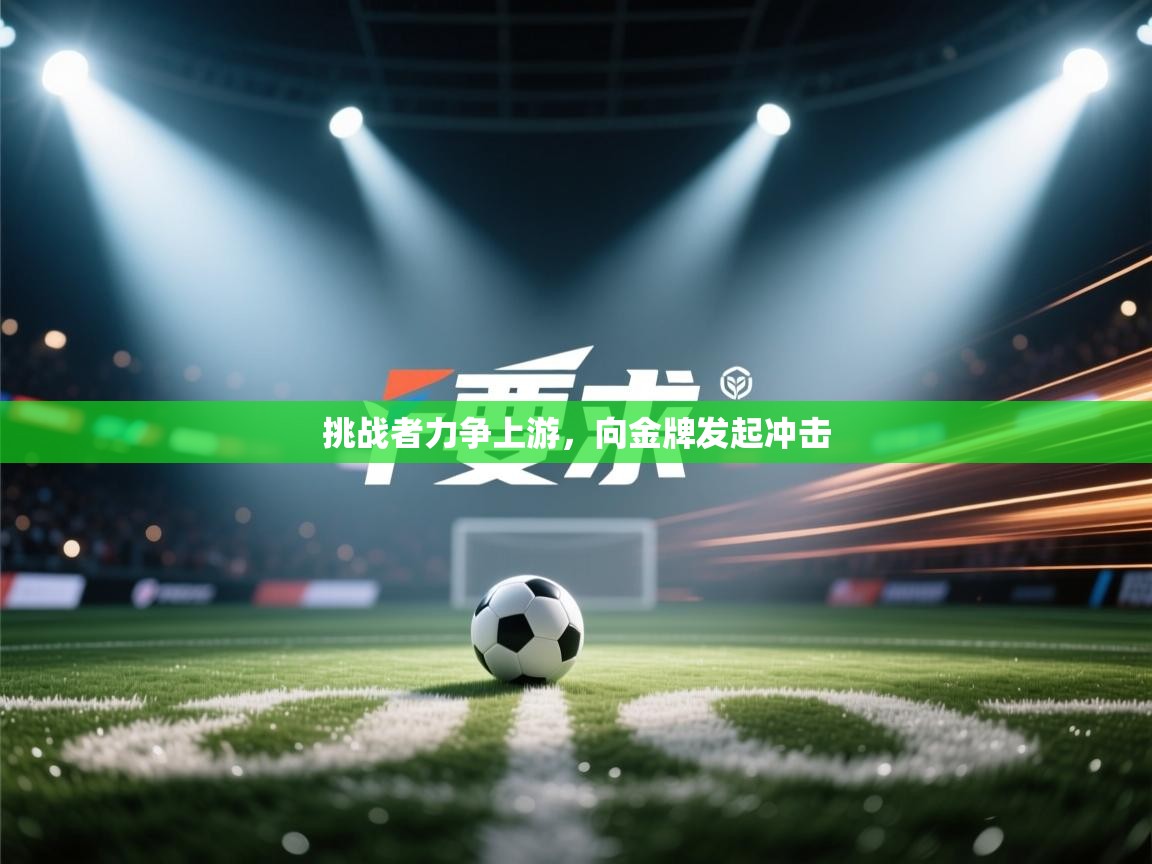 挑战者力争上游，向金牌发起冲击  第1张