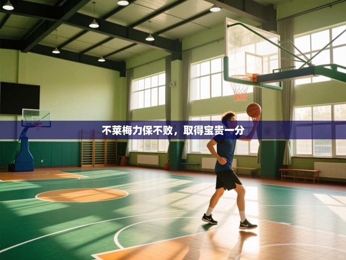 不莱梅力保不败，取得宝贵一分  第2张