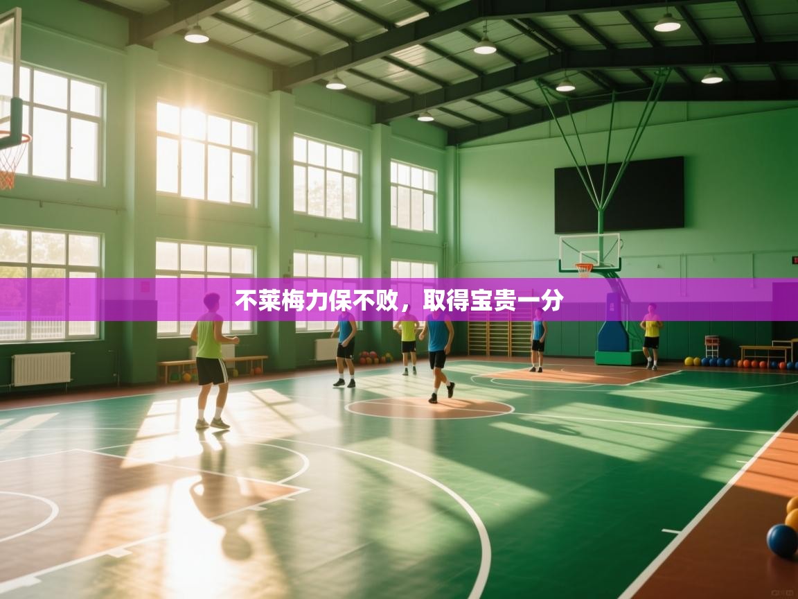 不莱梅力保不败，取得宝贵一分  第1张