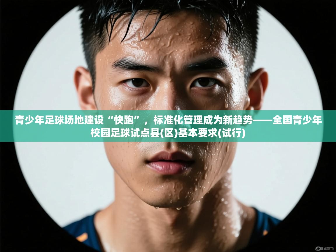 青少年足球场地建设“快跑”，标准化管理成为新趋势——全国青少年校园足球试点县(区)基本要求(试行)  第1张