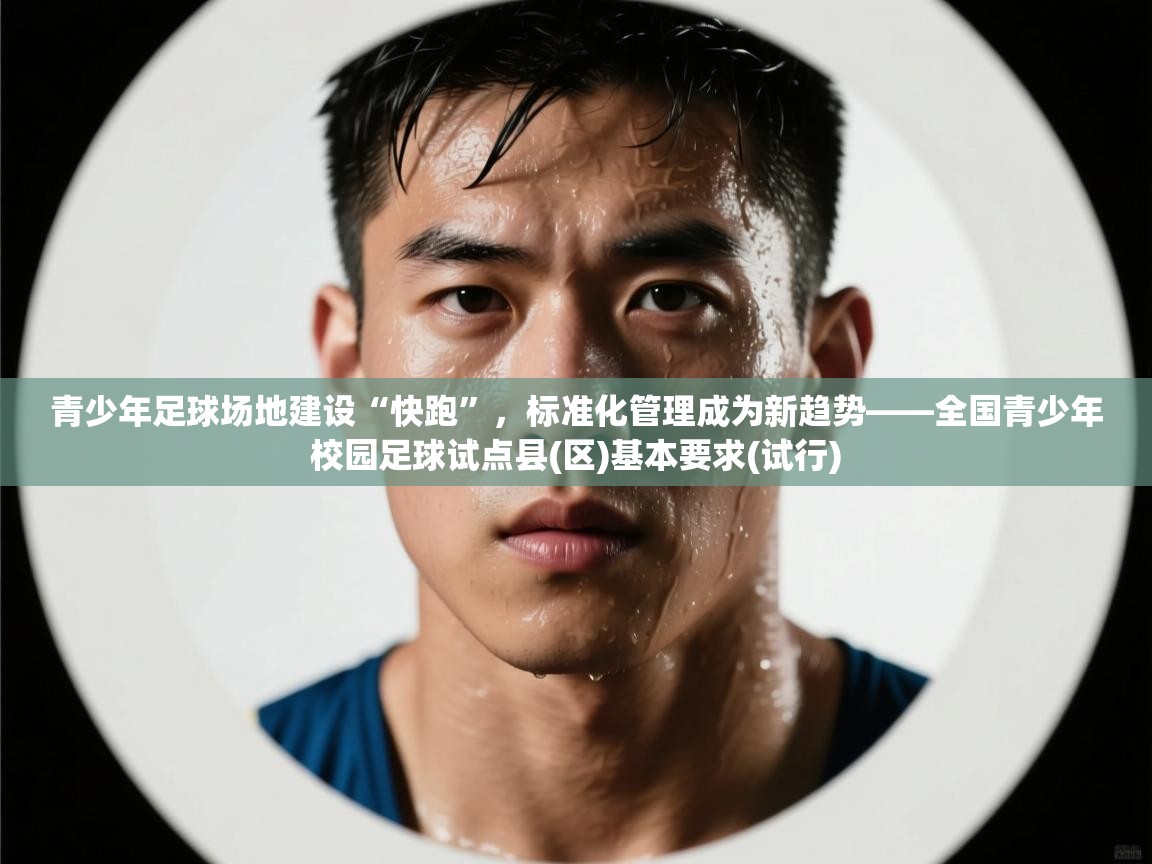青少年足球场地建设“快跑”，标准化管理成为新趋势——全国青少年校园足球试点县(区)基本要求(试行)  第2张