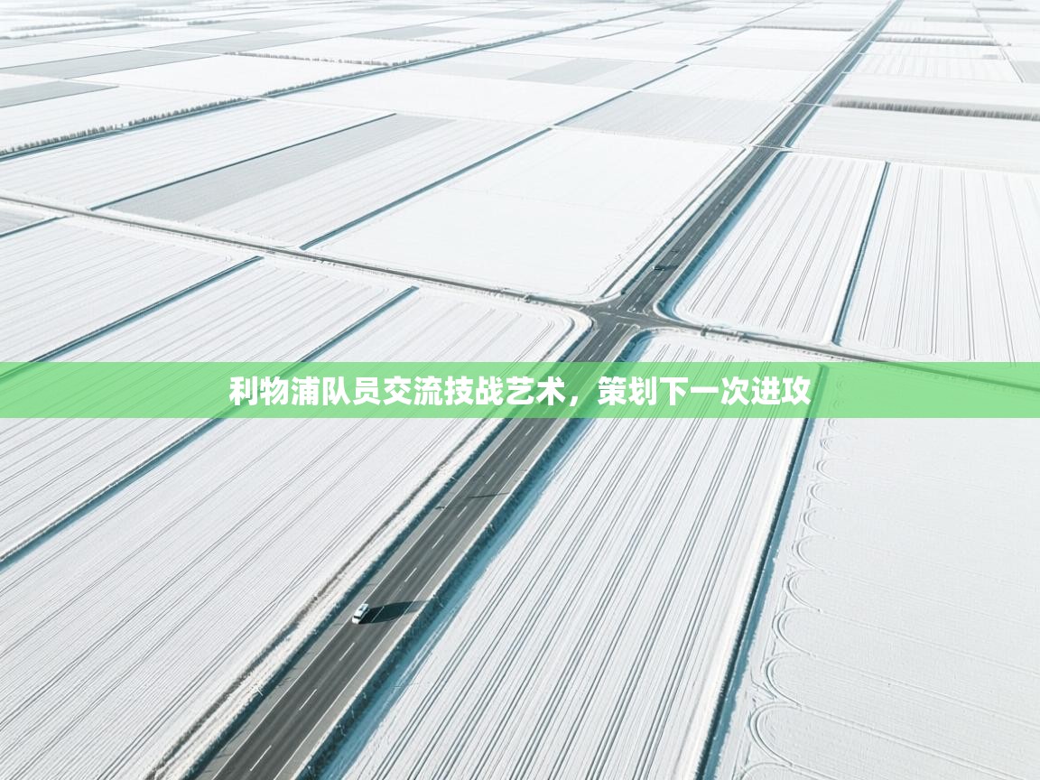 利物浦队员交流技战艺术，策划下一次进攻  第2张