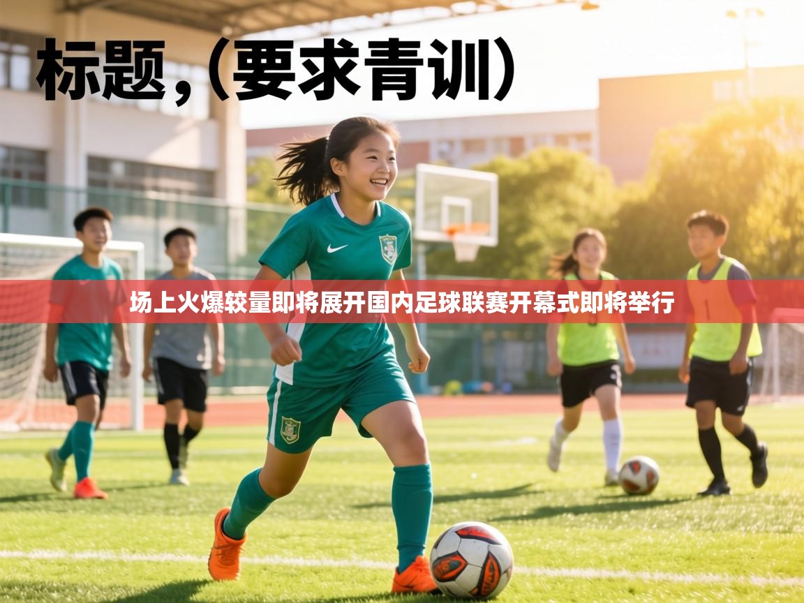 场上火爆较量即将展开国内足球联赛开幕式即将举行  第2张